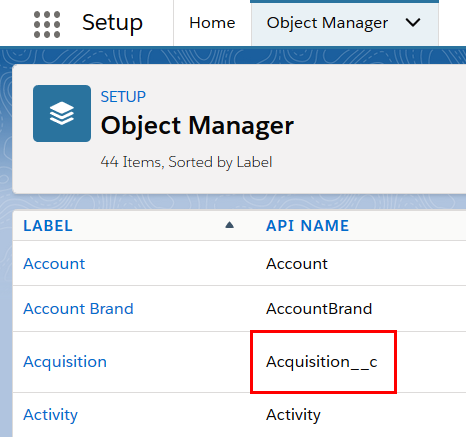 Example: API NAME of a custom object