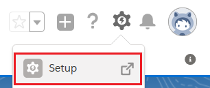 Salesforce org - Setup