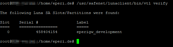 Expected output of vtl verify command